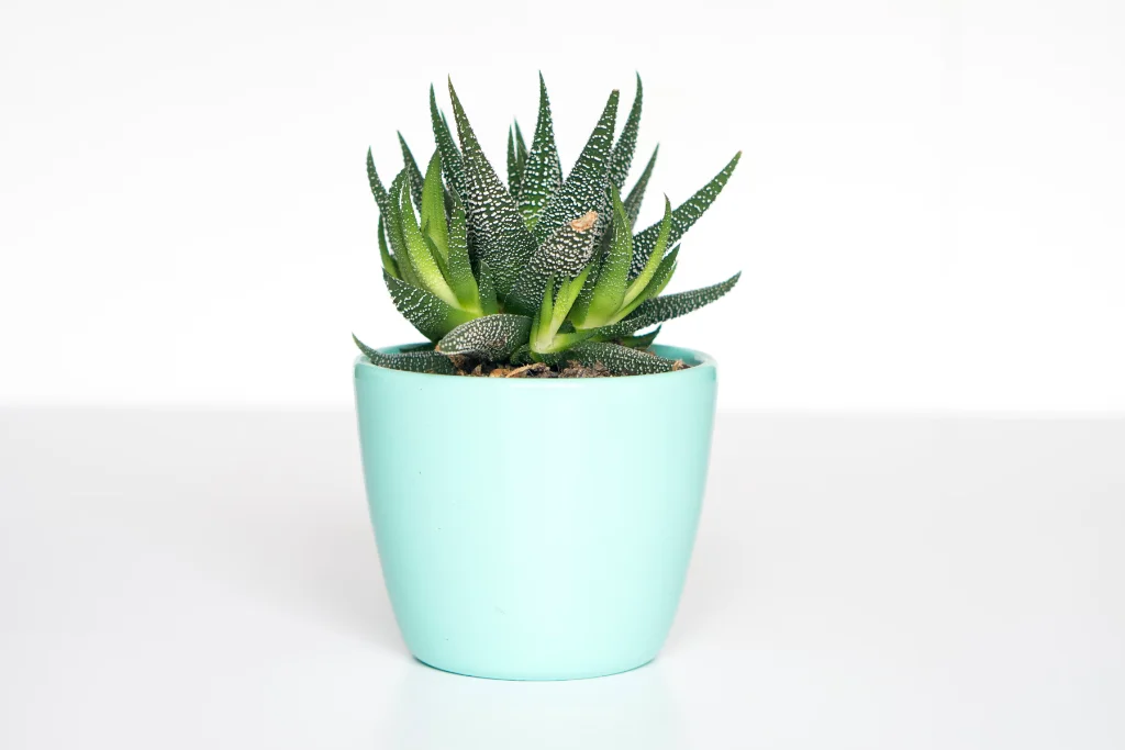 Installation Réseau